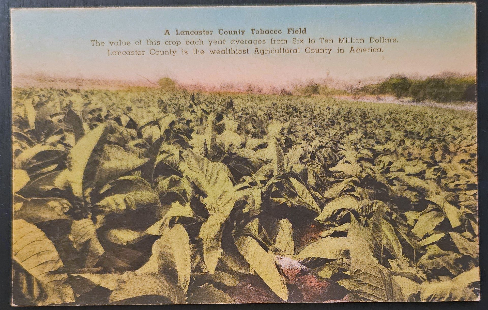 (image for) postcard USA - PA - Pennsylvania #0008